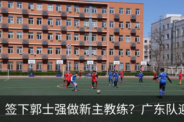 签下郭士强做新主教练？广东队迎来换帅机会，杜锋有望执教国家队