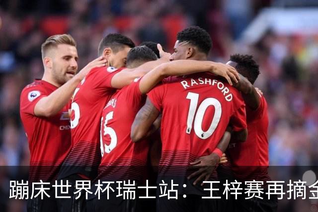 蹦床世界杯瑞士站：王梓赛再摘金
